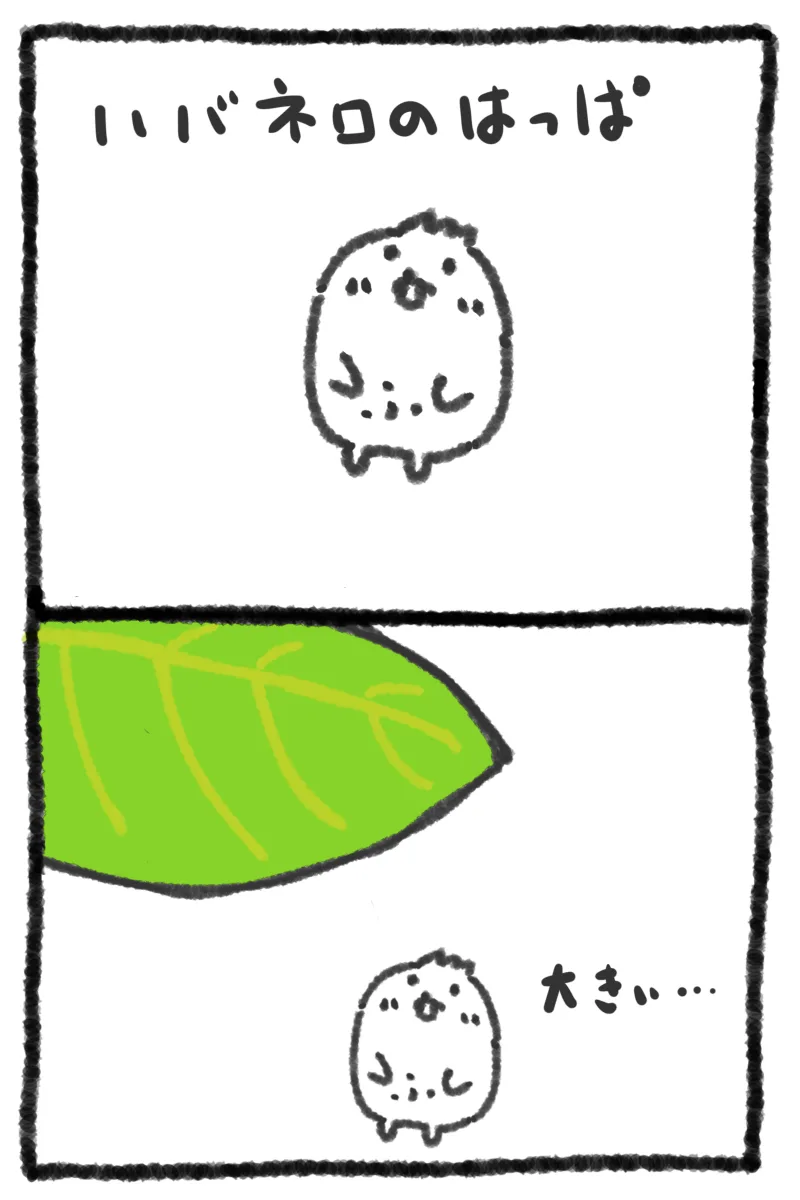 【２コマ漫画】ハバネロを育ててみた