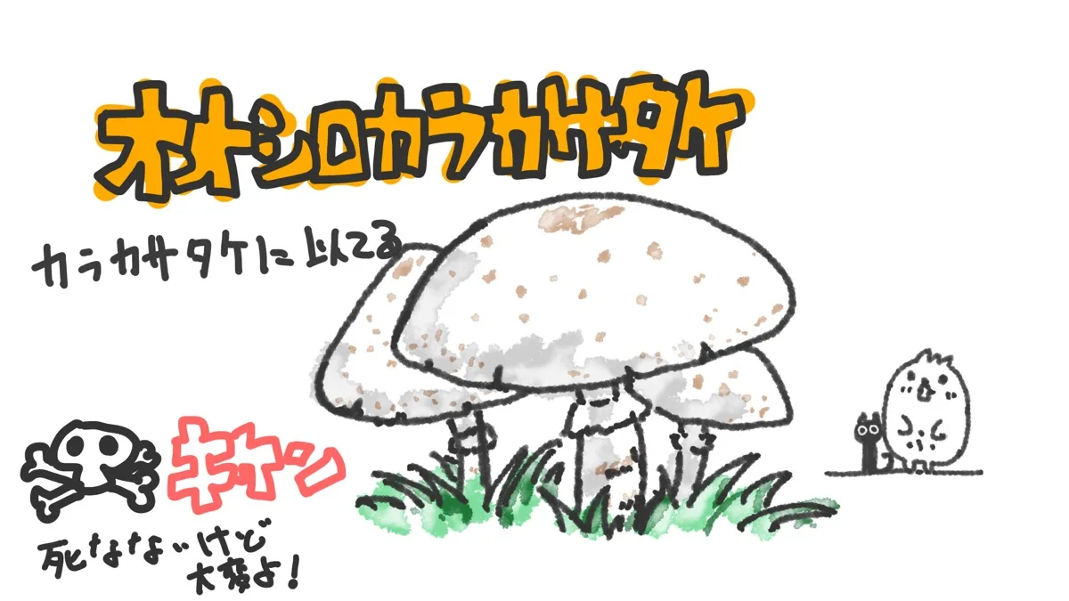オオシロカラカサタケ