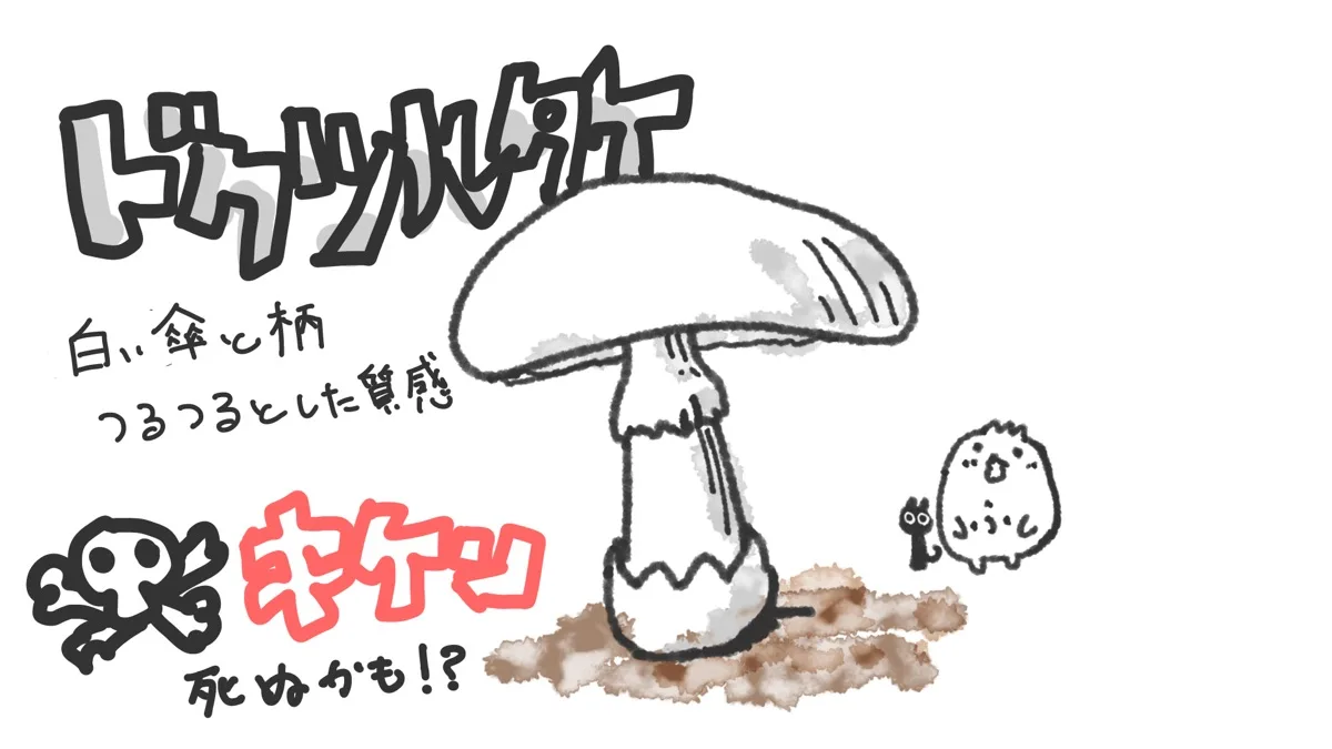 ドクツルタケ